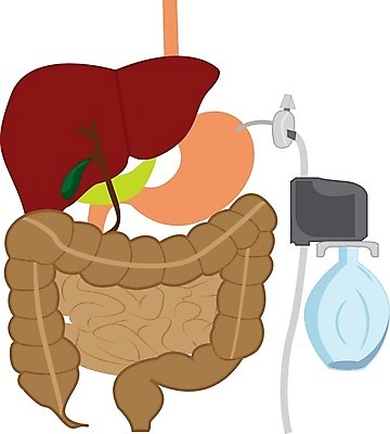EPS 해외이미지 라이프스타일 일러스트 병원 변화 오르간 테라피 자원 순서 지원 해외202004 해외일러스트 컨셉 의학 생활 뷰티 건반악기 파일형식 벡터 이미지허브