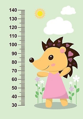 EPS 해외이미지 동물 구름 꽃 행복 벽 분홍색 백그라운드 잎 일러스트 포유류 자 태양 놀람 마음 큼 만화 고도 측정 꼬리 계량기 고슴도치 해외202004 해외일러스트 자연요소 식물 감정 컬러 문구용품 표정 크기 파일형식 벡터 오브젝트 이미지허브