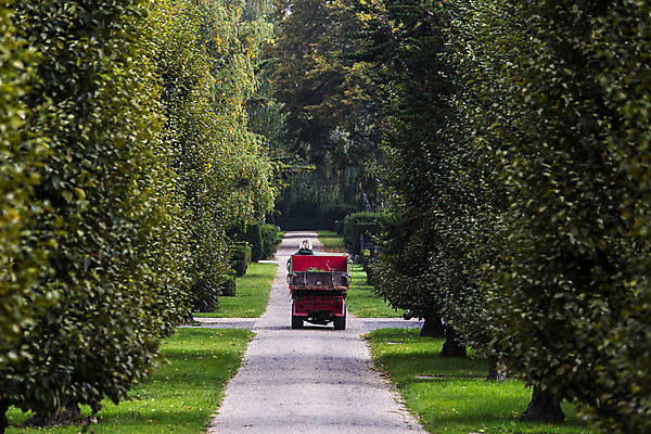 포토 JPG 해외이미지 나무 공원 여자 산업 길 육상교통 잎 교통시설 거리 풍경 사람없음 빨간색 초록색 환경 정원 에너지 트럭 작음 짐차 해외202004 해외포토 식물 공공시설 교통수단 컬러 교통 자동차 사람 크기 시설 파일형식 이미지허브