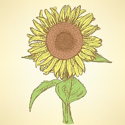 EPS 해외이미지 식물 손 디자인 꽃잎 꽃 선 백그라운드 잎 꽃무늬 농업 일러스트 자연 벽지 추상 해바라기 잉크 미술 그래픽 장식 컬러풀 정원 페인트 수확 성장 벚꽃 축하 신용카드 그리기 우아함 스케치 타일 그림 복고 판화 그런지 엘리먼트 현실 해외202004 해외일러스트 산업 컬러 컨셉 무늬 모션 문화예술 신체부위 금융 생태계 파일형식 벡터 이미지허브