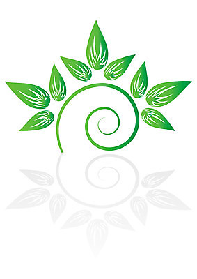 EPS 해외이미지 모양 나무 식물 컨셉 잎 일러스트 자연 아이디어 장식 초록색 환경 성장 나뭇가지 우아함 오브젝트 유기농 내추럴 고립 엘리먼트 해외202004 해외일러스트 웰빙 컬러 생태계 파일형식 벡터 이미지허브