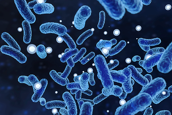 포토 JPG 해외이미지 모양 과학 백그라운드 추상 생물 세포 건강 현미경 실험 사람없음 파란색 약 3D 고통 바이러스 질병 유기농 생물학 감염 전염 미생물 암 박테리아 곰팡이 에이즈 유전 인플루엔자 전염병 해로움 해외202004 해외포토 웰빙 교육 감정 컬러 컨셉 무늬 의학 실험기구 디지털합성 파일형식 이미지허브