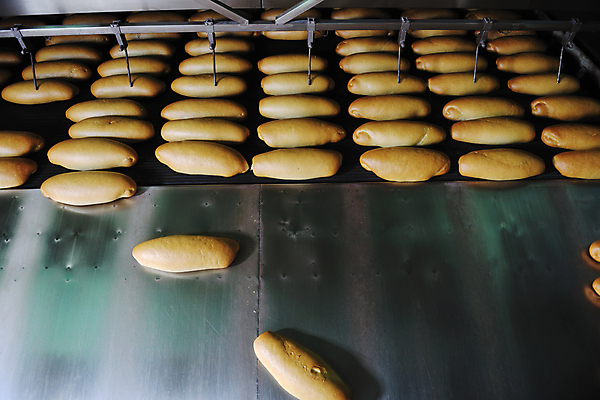 포토 JPG 해외이미지 빵 공장 실내 사람없음 기계 일렬 해외202004 해외포토 음식 공업 내부 파일형식 이미지허브