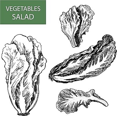 EPS 해외이미지 식물 라이프스타일 음식 잎 농업 다이어트 채소 일러스트 재료 자연 건강 사람없음 빨간색 초록색 세트 정원 식사 봄 샐러드 로켓 흰색 신선 혼합 상추 수집 허브 오브젝트 유기농 흙더미 고립 루꼴라 섞기 채식주의자 해외202004 해외일러스트 웰빙 계절 산업 컬러 생활 흙 생태계 채식 파일형식 벡터 더미 이미지허브