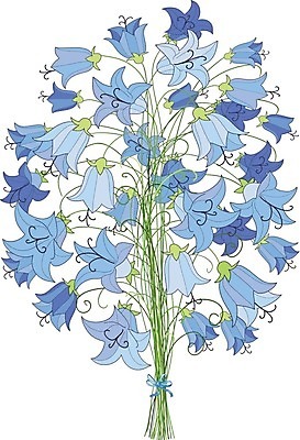 EPS 해외이미지 식물 디자인 계절 꽃잎 꽃 꽃다발 결혼 잎 꽃무늬 패턴 밭 일러스트 자연 발렌타인데이 사랑 장식 초록색 여름 파란색 머리 보라색 봄 벚꽃 종 닫기 만화 제비꽃 심볼 오브젝트 활 질감 라일락 고립 블루벨 캄파눌라 해외202004 해외일러스트 감정 컬러 무늬 농업 모션 데이이벤트 이벤트 신체부위 생태계 파일형식 벡터 이미지허브