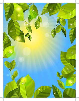 EPS 해외이미지 클립아트 모양 나무 식물 템플릿 디자인 계절 행복 백그라운드 잎 일러스트 자연 하늘 프레임 초록색 여름 파란색 빛 햇빛 태양 정원 봄 광선 나뭇가지 신선 그리기 파편 숲 이슬 묘사 오브젝트 클립 자작나무 엘리먼트 현실 디테일 해외202004 해외일러스트 자연요소 감정 컬러 모션 생태계 파일형식 벡터 이미지허브