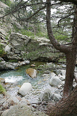 포토 JPG 해외이미지 영어 바다 섬 여행 자연 갈매기 등대 풍경 사람없음 여름 파란색 강 태양 마을 산책 폭포 산책로 하이킹 프랑스 보트 스페인 지중해 순환 페이지 포트 타운 통과 건너기 다도해 마르세유 코르시카 해외202004 해외포토 자연요소 문자 계절 유럽 길 컬러 배_교통 모션 조류 레저 휴식 도시 생태계 파일형식 이미지허브