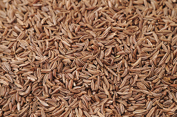 포토 JPG 해외이미지 음식 재료 건조 씨앗 사람없음 쌓기 여러개 맛 향신료 유기농 아로마 타입 내추럴 해외202004 해외포토 식물 웰빙 다수 컨셉 모션 향미료 파일형식 이미지허브