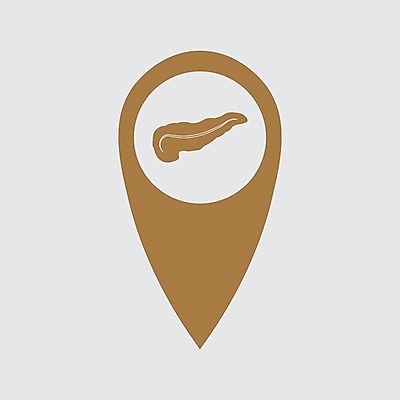 EPS 해외이미지 모델 디자인 포스터 과학 신체 일러스트 해부 건강 미술 사람 내부 그래픽 약 흰색 오르간 질병 만화 심볼 그림 생물학 시스템 방광 췌장 고립 당뇨병 돌봄 복근 엘리먼트 포도당 해외202004 해외일러스트 교육 컬러 의학 모션 근육 문화예술 건반악기 비뇨기관 장기 파일형식 벡터 악기 건반 음악 이미지허브