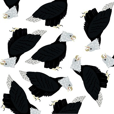EPS 해외이미지 동물 패턴 날개 일러스트 조류 갈색 위험 깃털 흰배경 부리 독수리 육식동물 동물상 집게발 해외202004 해외일러스트 컬러 백그라운드 컨셉 무늬 조형물 흰색 파일형식 벡터 이미지허브