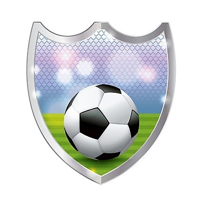 EPS 해외이미지 디자인 스포츠 밭 일러스트 공 경기 잔디 금속 축구 경쟁 경기장 게임 물개 메달 배지 고립 토너먼트 카피스페이스 현실 해외202004 해외일러스트 식물 컨셉 농업 포유류 스포츠시설 재질 놀이 구기 바다동물 공백 상 파일형식 벡터 이미지허브