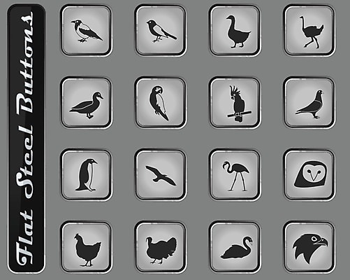 EPS 해외이미지 일러스트 갈매기 조류 오리 치킨 플라밍고 심볼 펭귄 비둘기 앵무새 백조 독수리 참새 부엉이 거위 타조 철강 해외202004 해외일러스트 동물 닭고기요리 파일형식 벡터 이미지허브