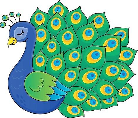 EPS 해외이미지 클립아트 동물 디자인 행복 일러스트 부분 자연 조류 미술 장식 컬러풀 그리기 공작 깃털 그림 꼬리 고립 동물상 스타일 해외202004 해외일러스트 감정 컬러 모션 문화예술 조형물 생태계 파일형식 벡터 이미지허브