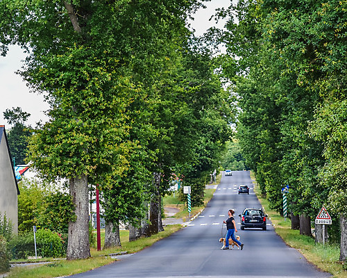 포토 JPG 해외이미지 나무 동물 백인 라이프스타일 공원 도로 백그라운드 자동차 자연 거리 함께함 건강 사람 성인 사람없음 야외 초록색 여름 반려동물 걷기 우정 산책 프랑스 시골 개 숲 래브라도리트리버 주인 송곳니 복종 해외202004 해외포토 서양인 식물 계절 공공시설 유럽 길 육상교통 컬러 컨셉 포유류 교통시설 모션 휴식 생활 친구 리트리버 치아 생태계 파일형식 이미지허브
