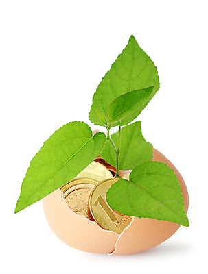 포토 JPG 해외이미지 식물 1 컨셉 잎 돈 비즈니스 자연 성공 아이디어 사람없음 야외 목재 초록색 새싹 환경 계란 동전 성장 껍질 흰색 재산 황금 고독 큼 에코 생태계 상승 보물 내추럴 고립 모종 묘목 생태학 해외202004 해외포토 나무 교육 감정 컬러 재료 금융 알 크기 파일형식 이미지허브