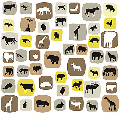 EPS 해외이미지 동물 디자인 실루엣 길 일러스트 곰 포유류 자연 조류 추상 염소 코끼리 동물원 어류 그래픽 반려동물 세트 농장 검은색 고양이 치킨 원숭이 양 돼지 호랑이 소 개 쥐 사자 기린 사인 독수리 코뿔소 늑대 해외202004 해외일러스트 컬러 무늬 농업 촬영기법 수중동물 설치류 생태계 닭고기요리 파일형식 벡터 이미지허브