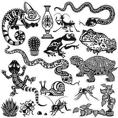 EPS 해외이미지 식물 동물 야생동물 곤충 일러스트 파충류 생물 흑백 동물원 개구리 양서류 반려동물 세트 뱀 거북이 벌레 만화 수집 달팽이 도마뱀 귀뚜라미 동물상 모기 카멜레온 해외202004 해외일러스트 연체동물 촬영기법 조형물 해충 파일형식 벡터 이미지허브
