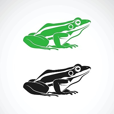 EPS 해외이미지 동물 캐릭터 디자인 행복 실루엣 야생동물 선 음식 백그라운드 일러스트 파충류 자연 추상 개구리 양서류 미술 미소 앉기 사람없음 그래픽 초록색 컬러풀 환경 검은색 흰색 플랫 만화 문신 심볼 사인 그림 윤곽 두꺼비 고립 엘리먼트 이국적 해외202004 해외일러스트 일러캐릭터 감정 컬러 무늬 모션 문화예술 촬영기법 표정 생태계 파일형식 벡터 이미지허브