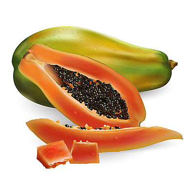 포토 JPG 해외이미지 과일 일러스트 사람없음 파파야 해외202004 해외포토 열대과일 파일형식 이미지허브