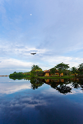 포토 JPG 해외이미지 아시아 호수 여유 바다 여행 자연 유리 조류 휴가 휴식 풍경 사람없음 물 여름 평화 자유 시골 만 편안함 엽서 내추럴 스리랑카 파라다이스 해외202004 해외포토 자연요소 동물 계절 감정 나라 컨셉 재질 감각 편지 생태계 파일형식 이미지허브