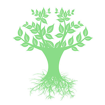 EPS 해외이미지 나무 식물 디자인 계절 꽃 실루엣 백그라운드 잎 꽃무늬 패턴 일러스트 자연 추상 미술 장식 초록색 유행 성장 흰색 나뭇가지 심볼 질감 뿌리 나무껍질 해외202004 해외일러스트 컬러 무늬 문화예술 촬영기법 껍질 생태계 파일형식 벡터 이미지허브