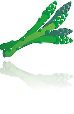 EPS 해외이미지 클립아트 다이어트 일러스트 건강 초록색 신선 아스파라거스 고립 채식주의자 해외202004 해외일러스트 컬러 채소 채식 파일형식 벡터 이미지허브