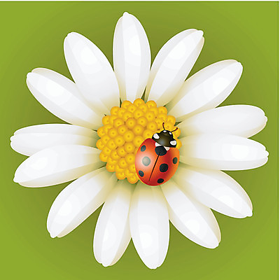 EPS 해외이미지 모양 식물 디자인 계절 꽃잎 꽃 백그라운드 잎 꽃무늬 일러스트 자연 벽지 장식 빨간색 초록색 하이앵글 노란색 봄 수확 벚꽃 흰색 벌레 정상 이슬 허브 딱정벌레 무당벌레 내추럴 고립 엘리먼트 캐모마일 시리즈 해외202004 해외일러스트 뷰포인트 컬러 곤충 무늬 농업 생태계 파일형식 벡터 이미지허브