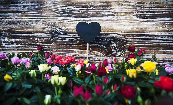 포토 JPG 해외이미지 모양 커플 기념일 꽃 행복 백그라운드 컨셉 텍스트 통신 관계 자연 기념 발렌타인데이 사랑 사람없음 목재 장미 꼬리표 라벨 세일 쪽지 화목 공백 하트 축하 인사 신용카드 발표 날짜 메시지 가격 편지 심볼 열정 나무껍질 판지 2월 조언 목차 해외202004 해외포토 나무 식물 감정 재료 데이이벤트 프레임 이벤트 금융 껍질 예절 생태계 파일형식 이미지허브