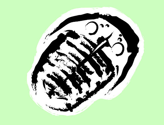 EPS 해외이미지 동물 일러스트 뼈 골격 역사 문신 공룡 화석 멸종 해외202004 해외일러스트 파충류 파일형식 벡터 이미지허브