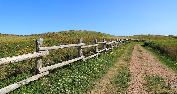 포토 JPG 해외이미지 도로 길 밭 곡선 자국 자연 하늘 파노라마 풍경 사람없음 야외 목재 여름 파란색 울타리 맑음 시골 강의 언덕 먼지 멀리 고립 해외202004 해외포토 나무 계절 선 컬러 농업 재료 교통시설 날씨 촬영기법 담장 생태계 파일형식 이미지허브