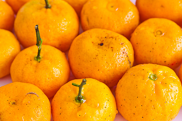 포토 JPG 해외이미지 1 음식 조각 백그라운드 다이어트 오렌지 과일 부분 자연 디저트 귤 건강 식이요법 사람없음 노란색 주스 활발 흰색 신선 원형 달콤 맛 먹기 피부 묘사 싱글 상쾌 유기농 칼로리 내추럴 고립 숙성 완벽 이국적 해외202004 해외포토 도형 웰빙 감정 음료 컬러 컨셉 모션 신체부위 생태계 파일형식 이미지허브