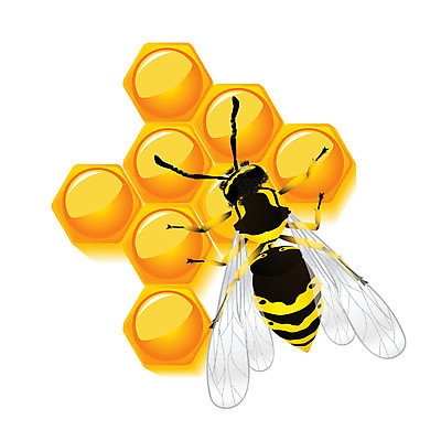 EPS 해외이미지 동물 포즈 곤충 백그라운드 날개 일러스트 자연 안테나 미술 컴퓨터 노란색 검은색 힘 주먹 줄무늬 분노 흰색 머리빗 말벌 작음 큼 스케치 벌 문신 심볼 그림 꿀 벌집 고립 마스코트 호박벌 해외202004 해외일러스트 감정 컬러 무늬 통신 모션 문화예술 전자제품 미용용품 벌_곤충 크기 생태계 파일형식 벡터 이미지허브