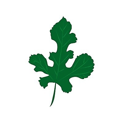 EPS 해외이미지 클립아트 나무 식물 1 계절 공원 실루엣 리플렛 백그라운드 단풍 잎 일러스트 자연 그래픽 초록색 여름 라벨 환경 정원 웹 봄 활발 가을 흰색 축하 플랫 심볼 오브젝트 사인 그림 배지 정맥 내추럴 고립 떠남 엘리먼트 해외202004 해외일러스트 공공시설 컬러 컨셉 인터넷 모션 프레임 촬영기법 생태계 혈관 파일형식 벡터 이미지허브