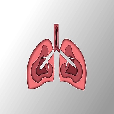 EPS 해외이미지 디자인 종이 과학 백그라운드 컨셉 신체 일러스트 해부 흡연 건강 사람 치료 빨간색 세계 약 고통 오르간 허파 호흡기관 질병 자르기 심볼 사인 생물학 싸움 감염 전염 암 고립 돌봄 지원 천식 해외202004 해외일러스트 교육 감정 컬러 의학 모션 담배 장기_의학 건반악기 파일형식 벡터 이미지허브