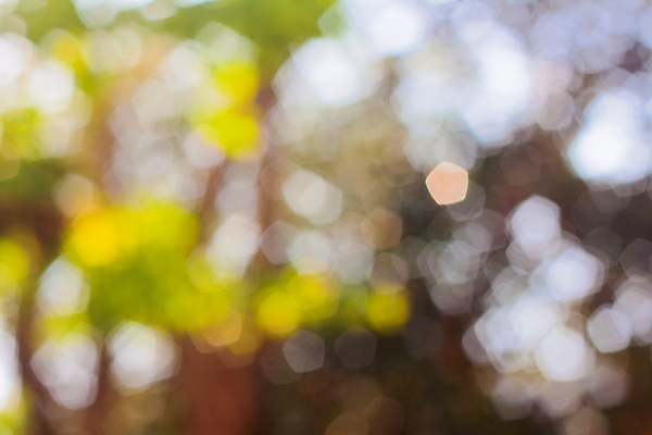 포토 JPG 해외이미지 디자인 행복 별 분홍색 백그라운드 추상 미술 사람없음 장식 파란색 반짝임 노란색 원형 화려 우아함 소프트포커스 심볼 보케 빛망울 엘리먼트 해외202004 해외포토 자연요소 도형 감정 컬러 컨셉 무늬 모션 문화예술 촬영기법 빛 파일형식 이미지허브