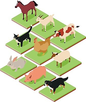 EPS 해외이미지 동물 디자인 야생동물 백그라운드 컨셉 농업 일러스트 자연 염소 오리 동물원 초록색 세트 농장 3D 마을 고양이 웹 치킨 가축 우유 토끼 양 돼지 소 플랫 개 수집 거위 내추럴 고립 엘리먼트 해외202004 해외일러스트 산업 컬러 인터넷 포유류 조류 유제품 반려동물 디지털합성 생태계 닭고기요리 파일형식 벡터 이미지허브