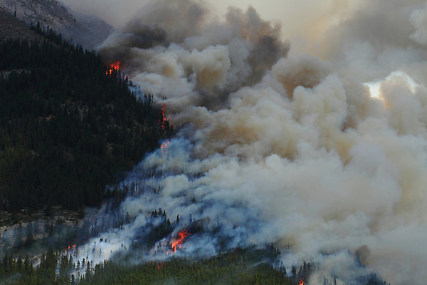 포토 JPG 해외이미지 나무 캐나다 오렌지 불 산 건조 사람없음 빨간색 노란색 맑음 붓 뜨거움 연기 더위 숲 위험 화재 연소 수목 앨버타 재앙 해외202004 해외포토 자연요소 식물 컬러 컨셉 북아메리카 과일 날씨 사건 파일형식 이미지허브