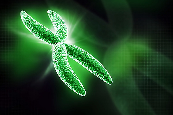 포토 JPG 해외이미지 여자 과학 추상 건강 현미경 사람없음 3D 디지털 DNA 염색체 효과 해외202004 해외포토 무늬 실험기구 사람 생명공학 디지털합성 파일형식 이미지허브