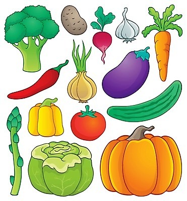 EPS 해외이미지 클립아트 디자인 음식 토마토 채소 일러스트 재료 고추 호박 가지 양파 오이 감자 마늘 미술 그래픽 세트 당근 신선 그리기 상추 브로콜리 만화 수집 오브젝트 그림 아스파라거스 박 후추 내추럴 고립 엘리먼트 총각무 해외202004 해외일러스트 모션 문화예술 뿌리채소 무 향신료 파일형식 벡터 이미지허브