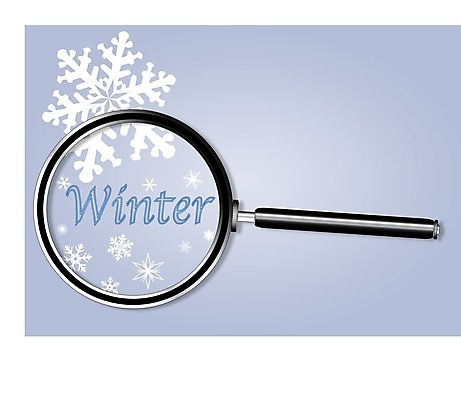 EPS 해외이미지 계절 분홍색 단풍 잎 겨울 일러스트 날씨 새로움 초록색 여름 얼음 봄 추위 가을 눈송이 변화 연도 확대경 총쏘기 카피스페이스 해외202004 해외일러스트 자연요소 식물 컬러 컨셉 모션 공백 눈 파일형식 벡터 이미지허브