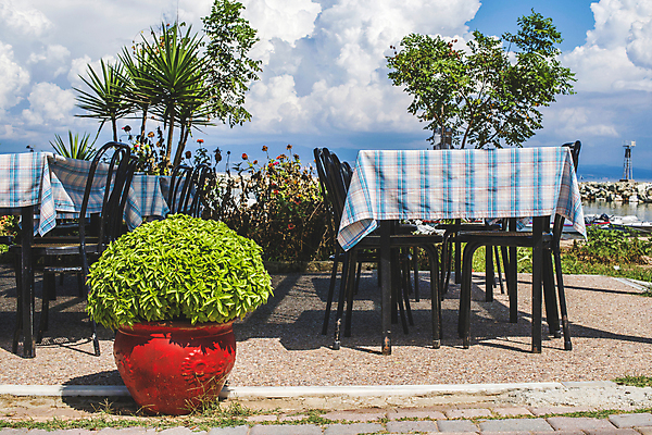 포토 JPG 해외이미지 전통 꽃 유럽 커피 음식 바다 섬 여행 의자 건축양식 탁자 거리 주택 사람없음 야외 내부 건물 여름 파란색 상점 식당 카페 흰색 술집 클래식 지중해 그리스 휴양지 산토리니 그리스인 미코노스섬 옛날 해외202004 해외포토 서양인 식물 건축물 계절 건축 나라 음료 컬러 가구 컨셉 장소 파일형식 이미지허브