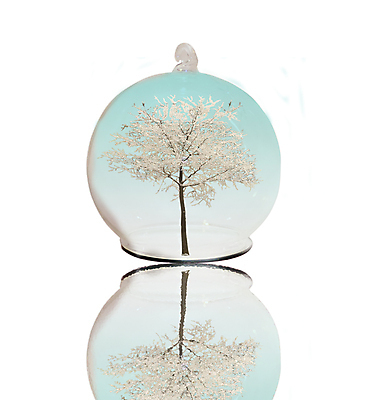 포토 JPG 해외이미지 나무 계절 백그라운드 겨울 밭 자연 벽지 하늘 아침 풍경 사람없음 목재 파란색 평화 맑음 냉동 얼음 침묵 추위 흰색 시골 황무지 숲 시원함 12월 북극 서리 장면 1월 2월 해외202004 해외포토 주간 자연요소 식물 컬러 컨셉 농업 재료 날씨 소리 날짜 극지방 생태계 파일형식 이미지허브