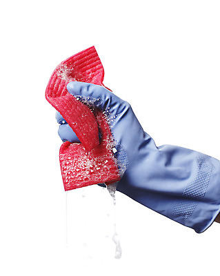 포토 JPG 해외이미지 손 장갑 사람없음 빨간색 젖음 직물 잡기 합성 비누 걸레 해외202004 해외포토 잡화 컬러 모션 신체부위 위생용품 청소도구 파일형식 이미지허브