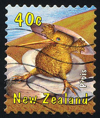 포토 JPG 해외이미지 문화 모래 바다 조류 조개 휴식 연체동물 병아리 사람없음 태양 빈티지 우표 인기 키위새 해외202004 해외포토 자연요소 동물 컨셉 어패류 무척추동물 파일형식 이미지허브