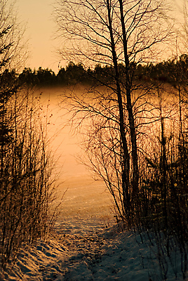 포토 JPG 해외이미지 겨울 오렌지 사람없음 안개 해외202004 해외포토 계절 과일 날씨 파일형식 이미지허브