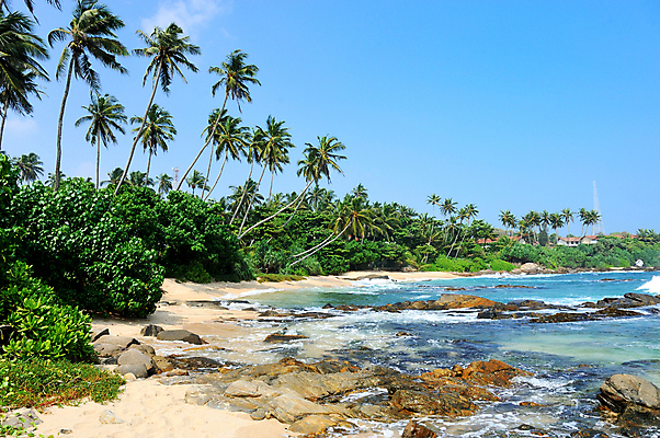 포토 JPG 해외이미지 나무 식물 구름 모래 파도 바다 섬 여행 백그라운드 잎 자연 하늘 휴가 휴식 손바닥 풍경 사람없음 야외 초록색 물 여름 파란색 햇빛 태양 맑음 침묵 만 뜨거움 휴양지 코코넛 석호 이국적 파라다이스 해외202004 해외포토 자연요소 손 계절 컬러 컨셉 과일 날씨 소리 장소 생태계 파일형식 이미지허브