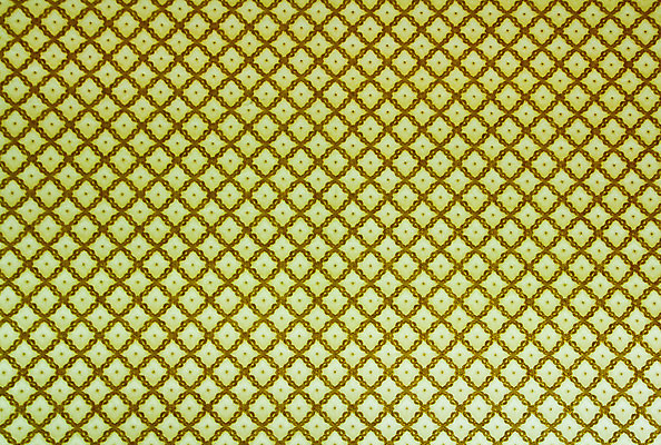 포토 JPG 해외이미지 식물 디자인 종이 벽 백그라운드 잎 꽃무늬 패턴 곡선 일러스트 벽지 미술 사람없음 장식 어둠 카펫 골동품 소용돌이 직물 화려 재산 고급 우아함 실크 질감 복고 구식 르네상스 바로크 엘리먼트 옛날 회복 스타일 해외202004 해외포토 꽃 선 컨셉 무늬 문화예술 금융 회오리 파일형식 이미지허브