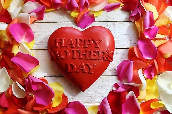 포토 JPG 해외이미지 꽃잎 행복 엄마 사람없음 목재 컬러풀 장미 하트 5월 감사 목판 어머니의날 해외202004 해외포토 모양 나무 기념일 꽃 감정 컬러 재료 가족 날짜 미국문화 파일형식 이미지허브