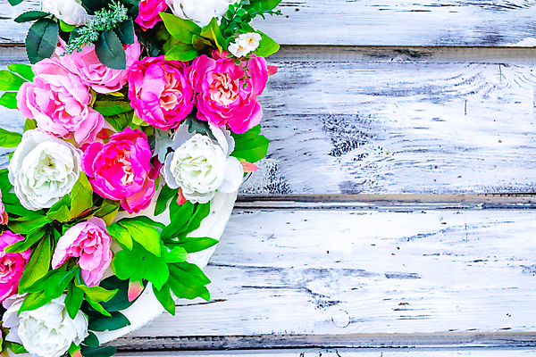 포토 JPG 해외이미지 식물 꽃잎 꽃 분홍색 꽃다발 결혼 꽃무늬 자연 사랑 사람없음 장식 빨간색 초록색 여름 장미 정원 보라색 봄 벚꽃 흰색 다발 배열 고립 해외202004 해외포토 계절 감정 컬러 무늬 이벤트 생태계 파일형식 이미지허브