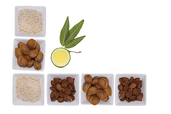 포토 JPG 해외이미지 음료 음식 백그라운드 컨셉 다이어트 가방 과일 재료 자연 건조 건강 씨앗 사람없음 목재 갈색 쌓기 우주 우유 추위 견과류 흰색 신선 그룹 닫기 달콤 맛 정상 먹기 유기농 날것 아몬드 흙더미 내추럴 고립 채식주의자 칼슘 많음 비건 해외202004 해외포토 나무 식물 웰빙 잡화 컬러 모션 유제품 흙 생태계 채식 파일형식 더미 이미지허브